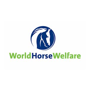 WorldHorseWelfare