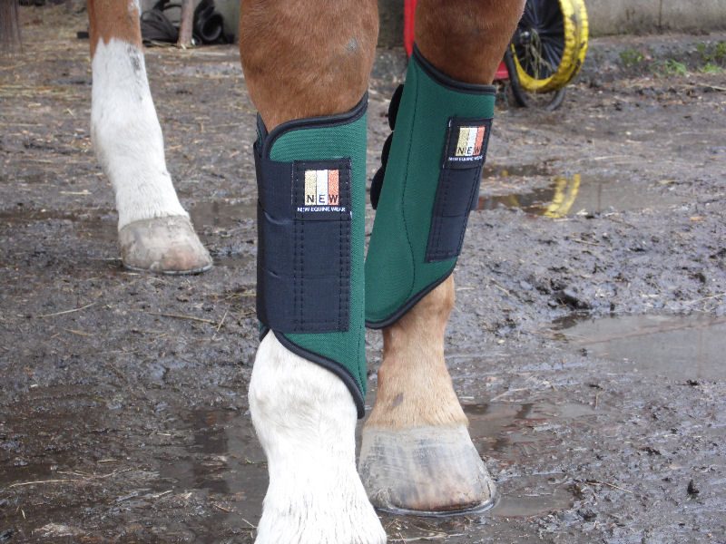 equine wear