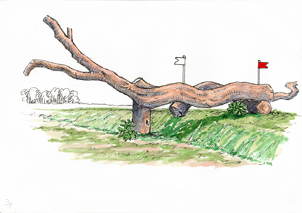 Fence 3