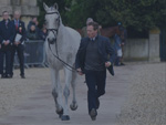 Showjumping finale thumbnail