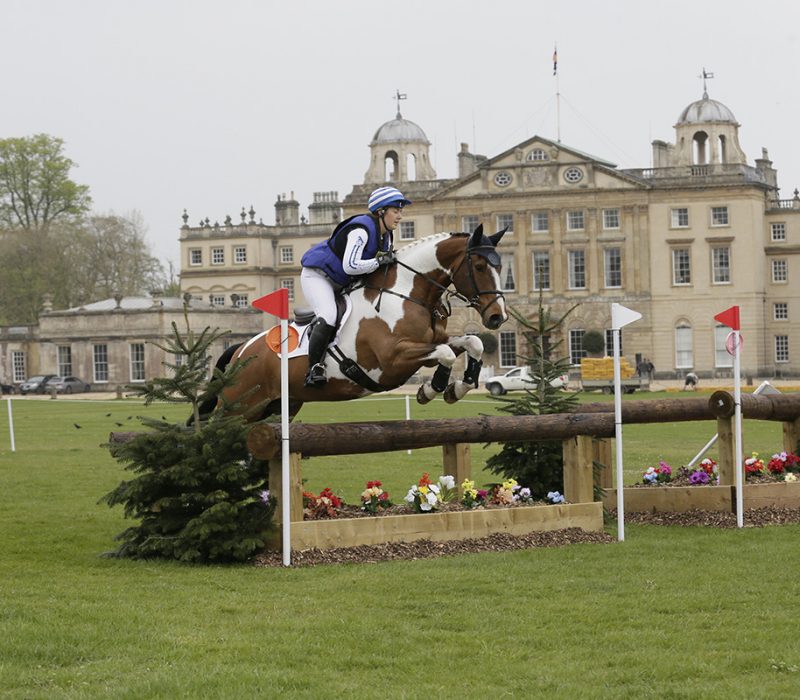 Stanhopes Travelling Man BE90 winner