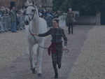 Horse Inspection thumb
