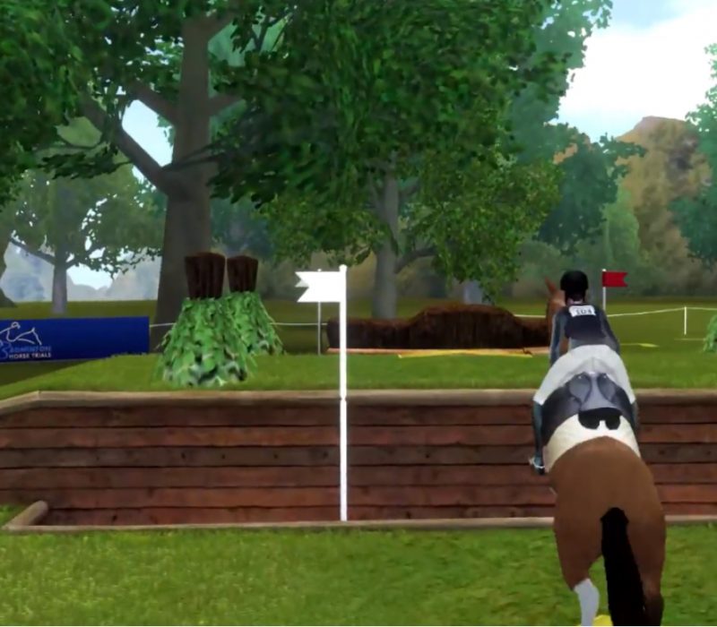 Equestriad at Badminton